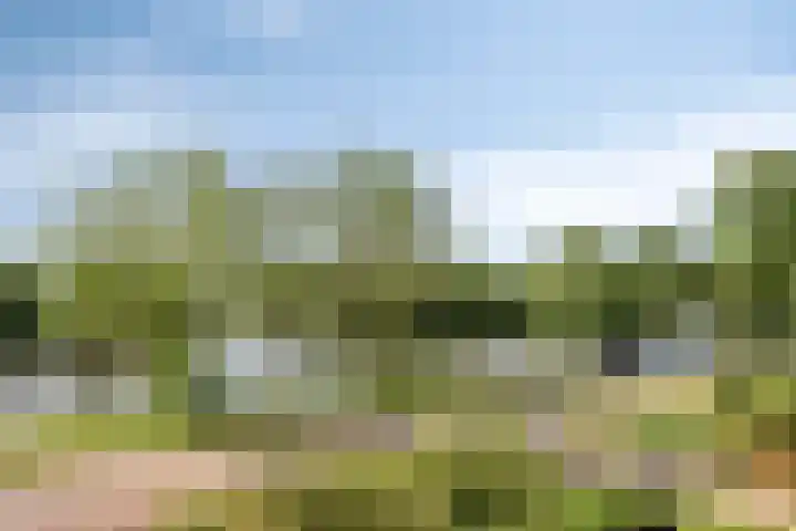 Zandpad 37 Maarssen thumbnail 28