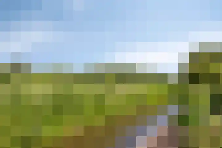 Zandpad 37 Maarssen thumbnail 35