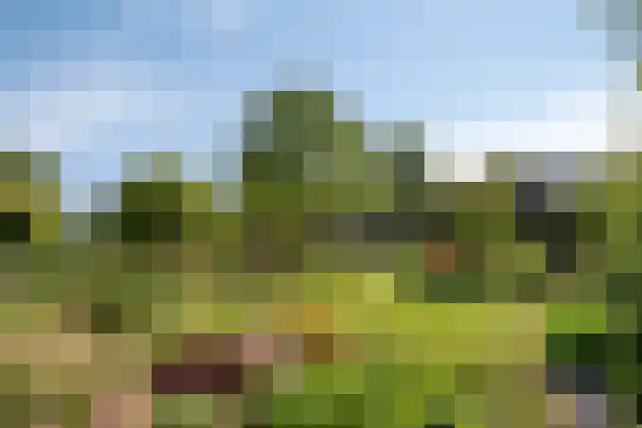 Zandpad 37 Maarssen thumbnail 36