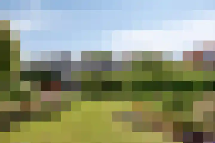 Zandpad 37 Maarssen thumbnail 37