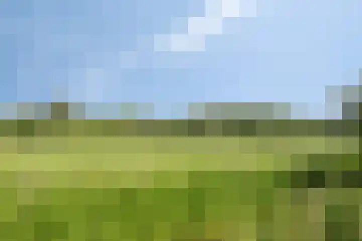 Zandpad 37 Maarssen thumbnail 38