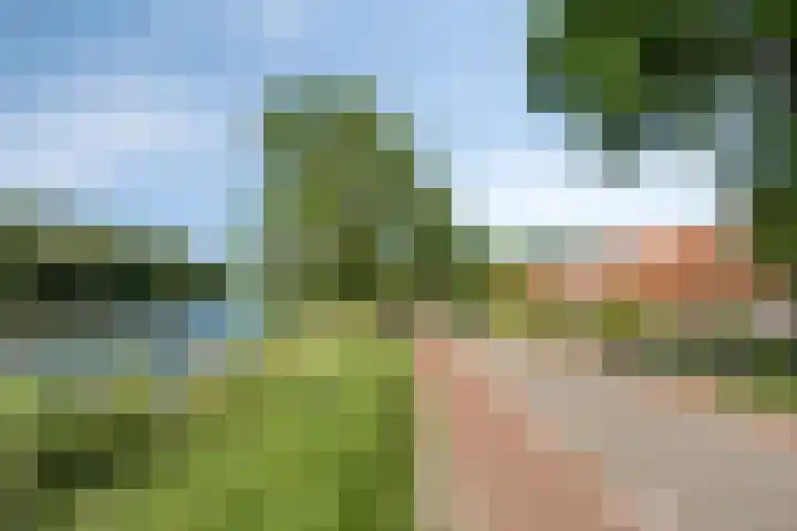 Zandpad 37 Maarssen thumbnail 44