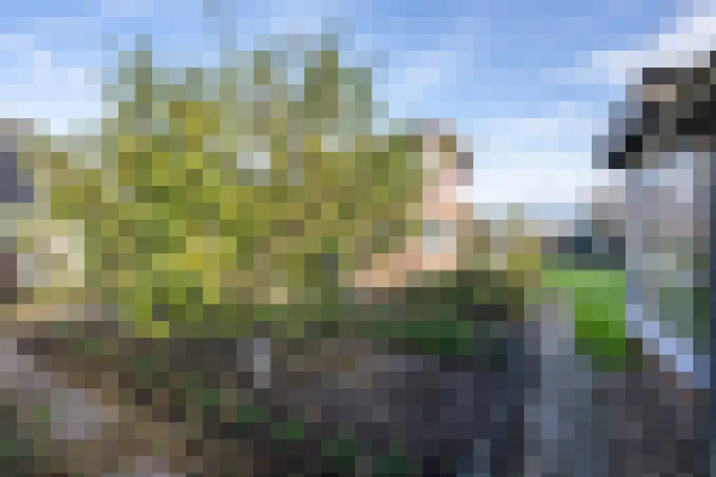 Zandpad 4 Middelharnis thumbnail 35