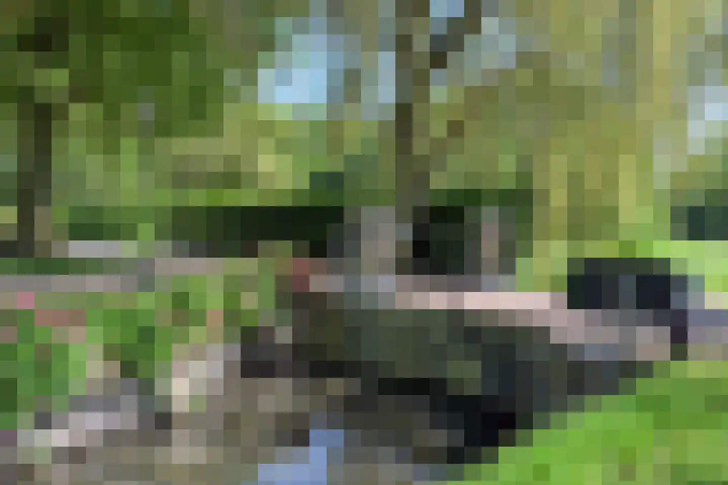 Zandpad 44 Maarssen thumbnail 16
