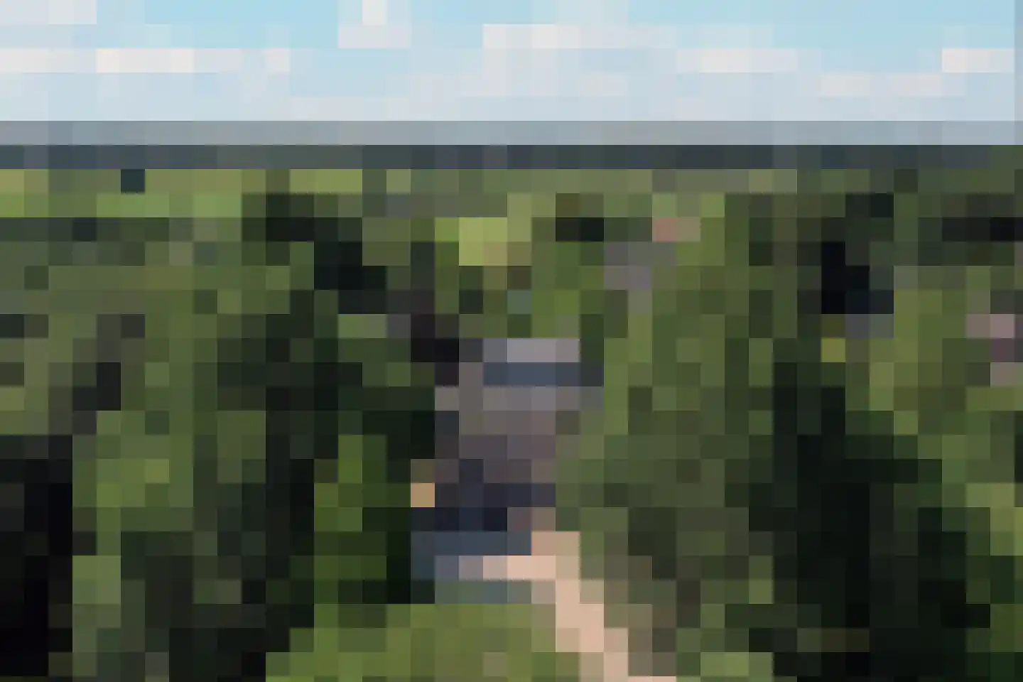 Zandpad 44 Maarssen thumbnail 4
