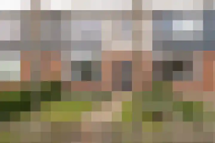 Zandpad 7 Opijnen