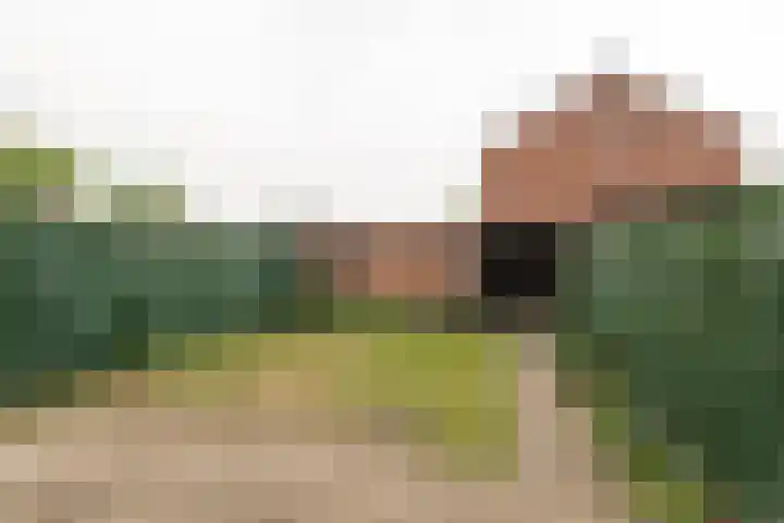 Zandpad 7 Opijnen thumbnail 25