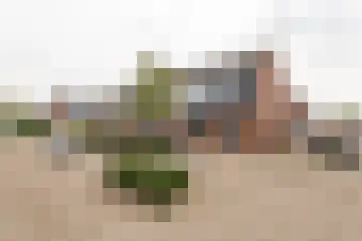 Zandpad 7 Opijnen thumbnail 27