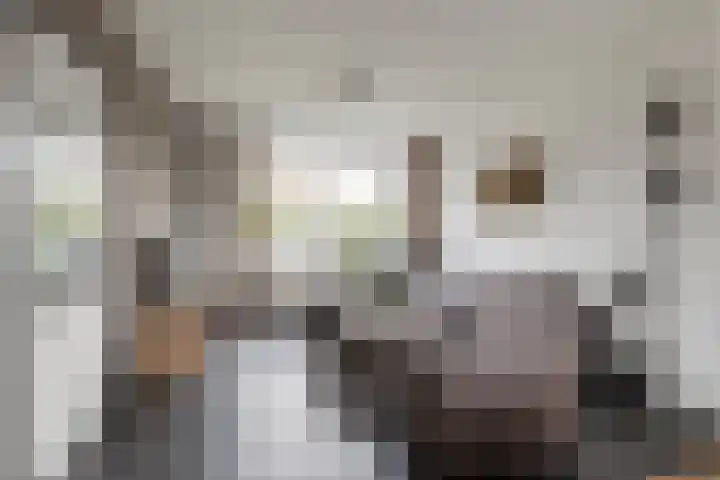 Zandpad 7 Opijnen thumbnail 4