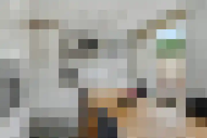 Zandplaat 5 Zeewolde thumbnail 12