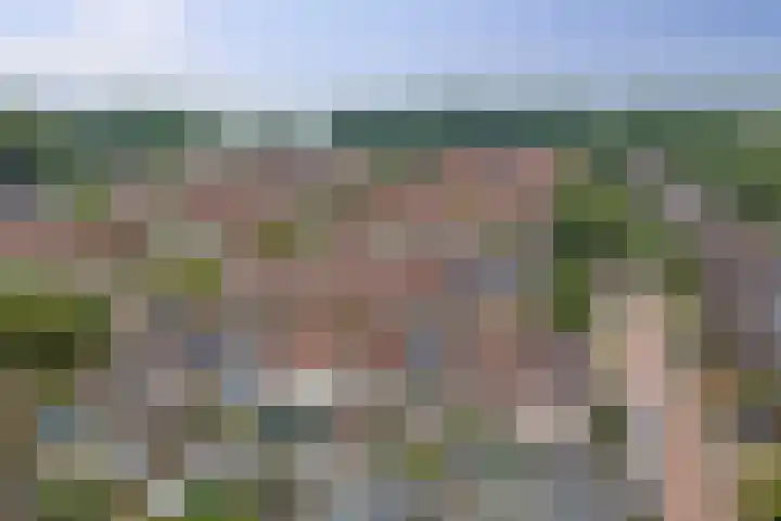 Zandplaat 5 Zeewolde thumbnail 38