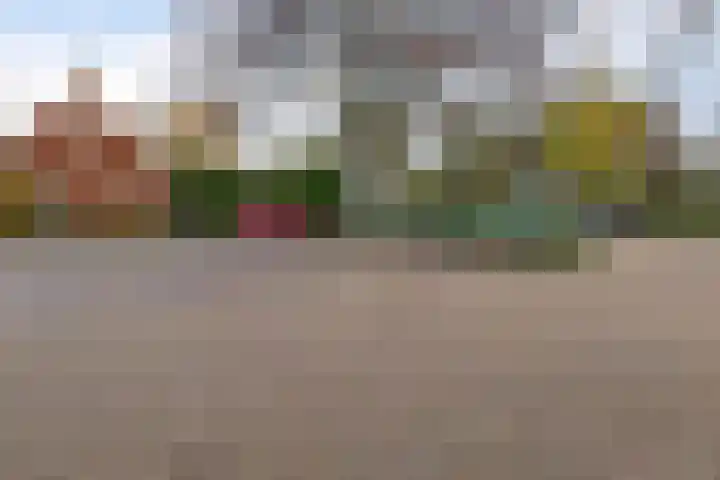 Zandput 17 Serooskerke thumbnail 27