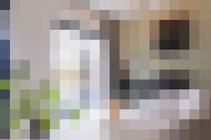 Zandsteen 6 Hoorn thumbnail 15