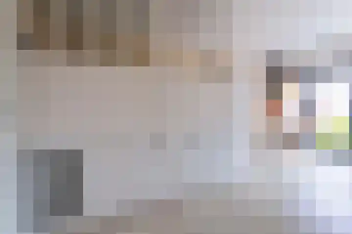 Zandsteen 6 Hoorn thumbnail 19