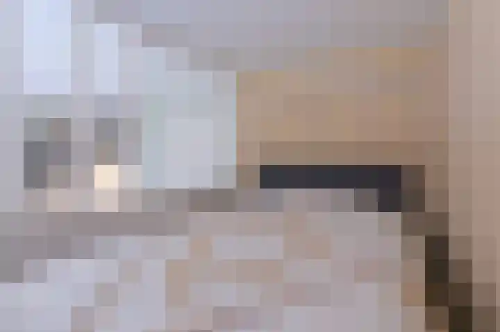 Zandsteen 6 Hoorn thumbnail 20