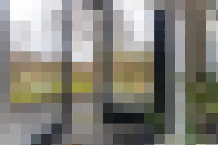 Zandsteen 6 Hoorn thumbnail 24