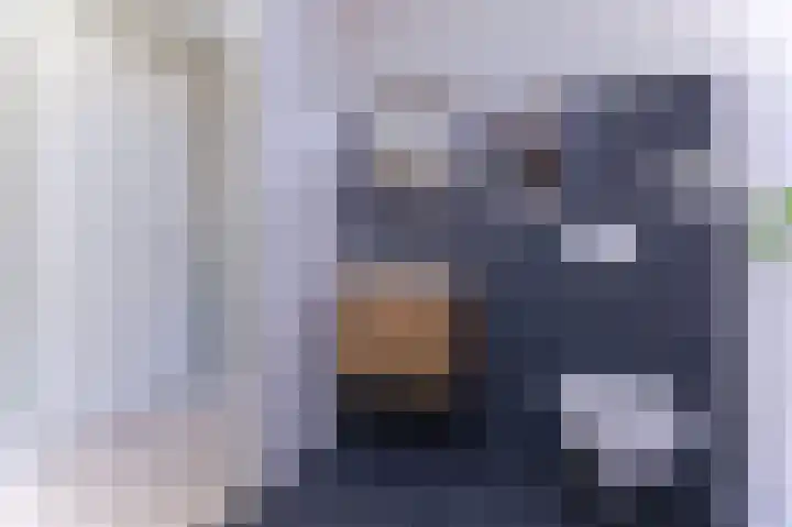 Zandsteen 6 Hoorn thumbnail 29