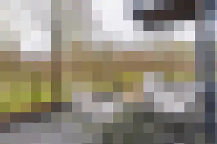 Zandsteen 6 Hoorn thumbnail 4