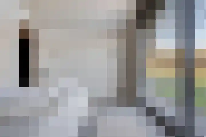 Zandstraat 15 Moergestel thumbnail 26