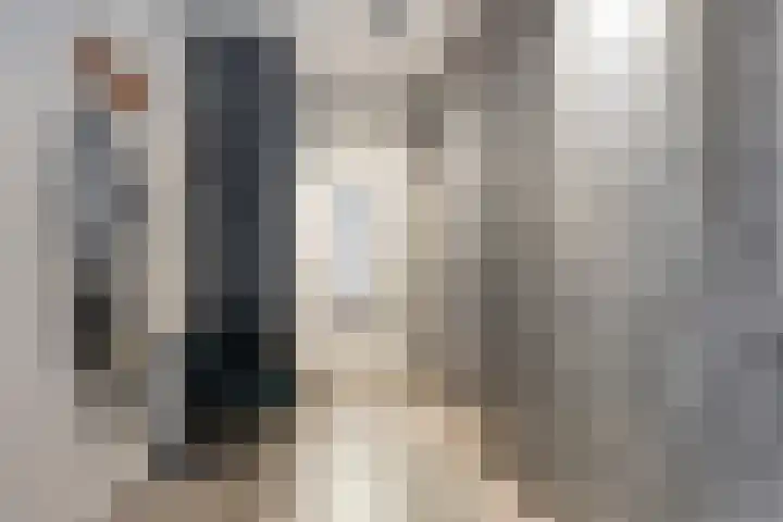 Zandstraat 15 Moergestel thumbnail 27
