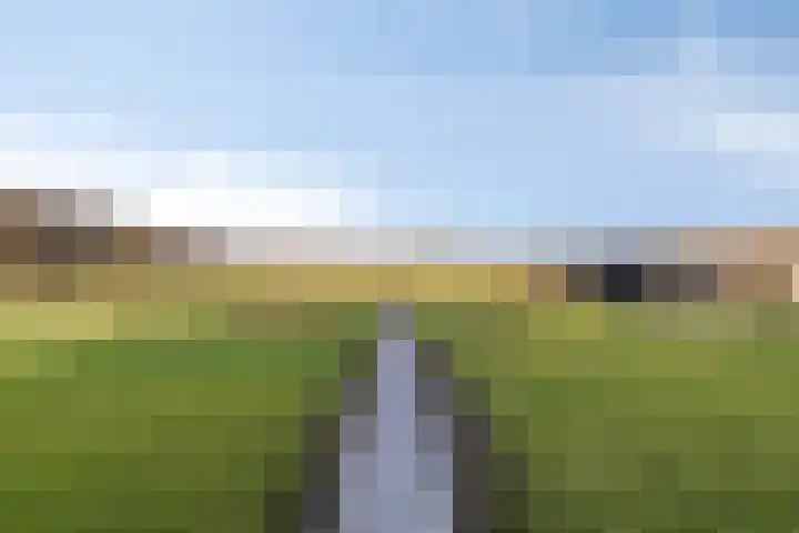 Zandstraat 15 Moergestel thumbnail 37