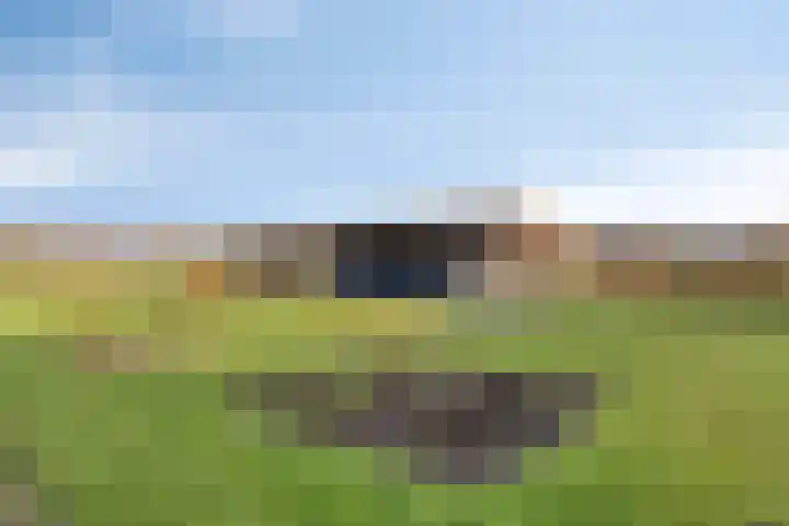 Zandstraat 15 Moergestel thumbnail 38