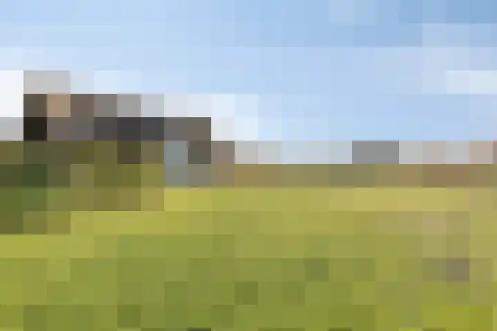 Zandstraat 15 Moergestel thumbnail 44