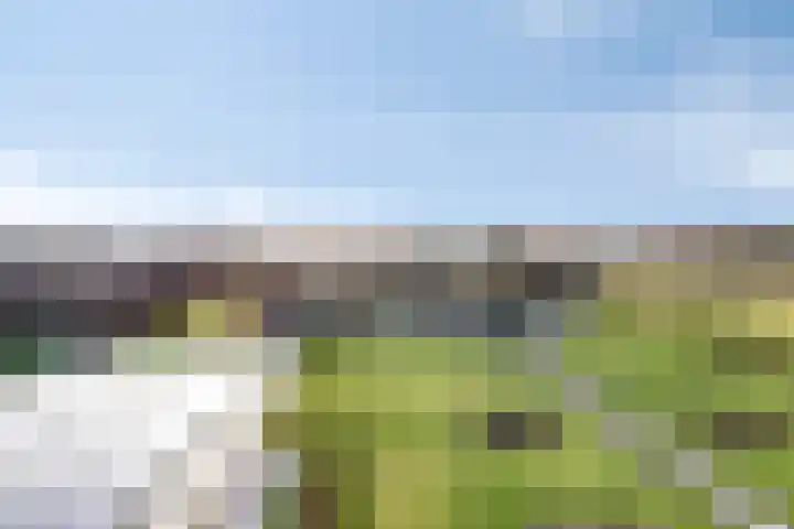 Zandstraat 15 Moergestel thumbnail 47