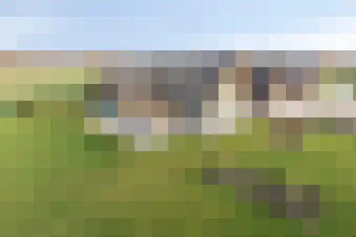 Zandstraat 15 Moergestel thumbnail 48