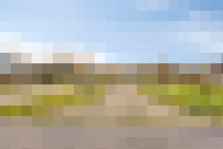 Zandstraat 15 Moergestel thumbnail 52