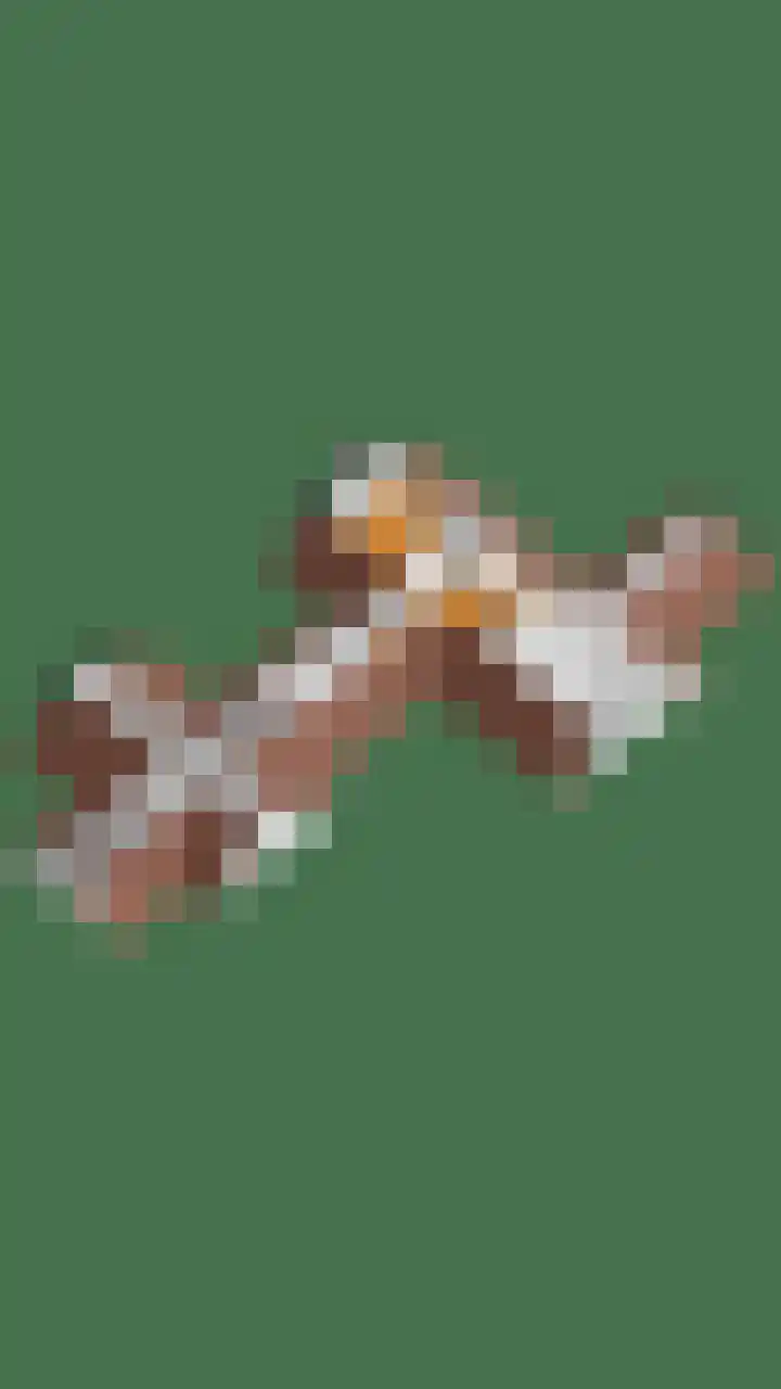 Zandstraat 15 Moergestel thumbnail 58