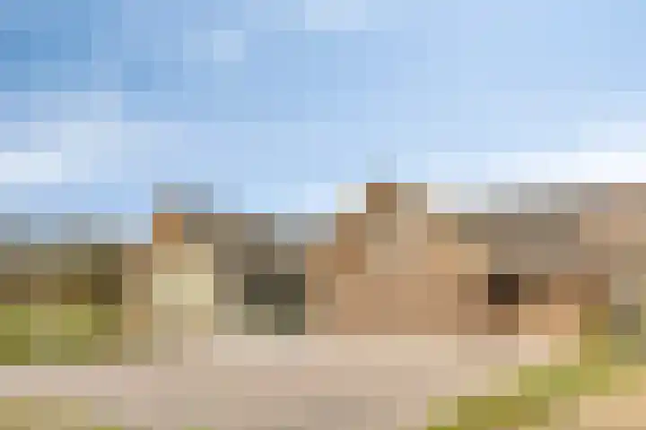 Zandstraat 15 Moergestel thumbnail 7