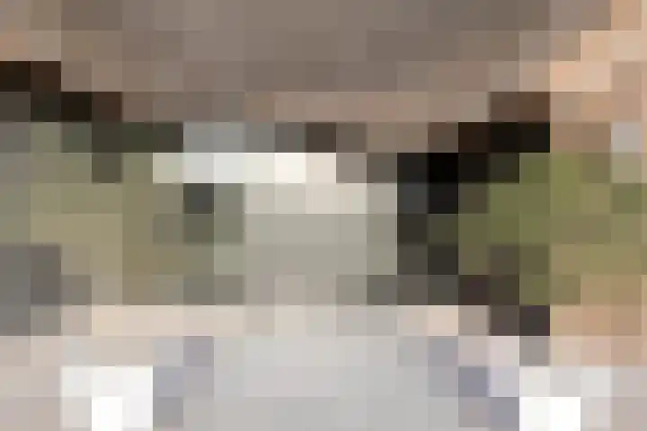 Zandstraat 15 Moergestel thumbnail 8