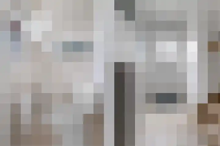 Zandstraat 18 Spijk thumbnail 15