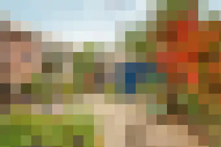 Zandstraat 18 Spijk thumbnail 31