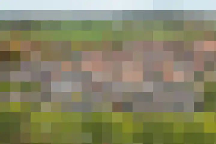 Zandstraat 18 Spijk thumbnail 39