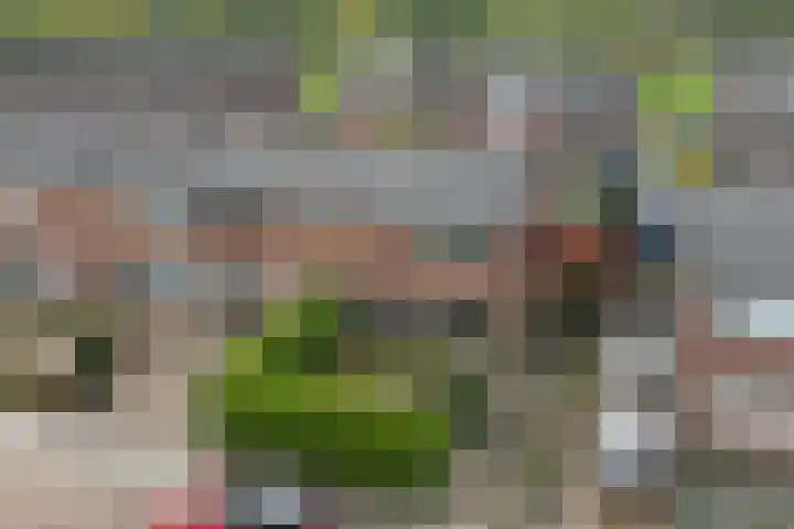 Zandstraat 18 Spijk thumbnail 42