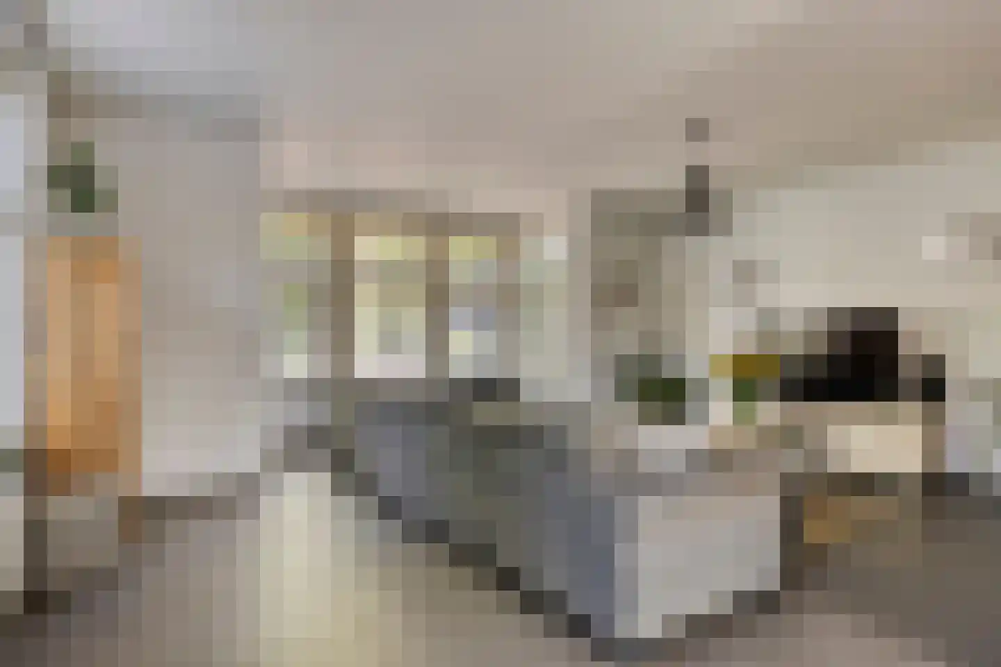 Zandstraat 2 Berlicum thumbnail 10