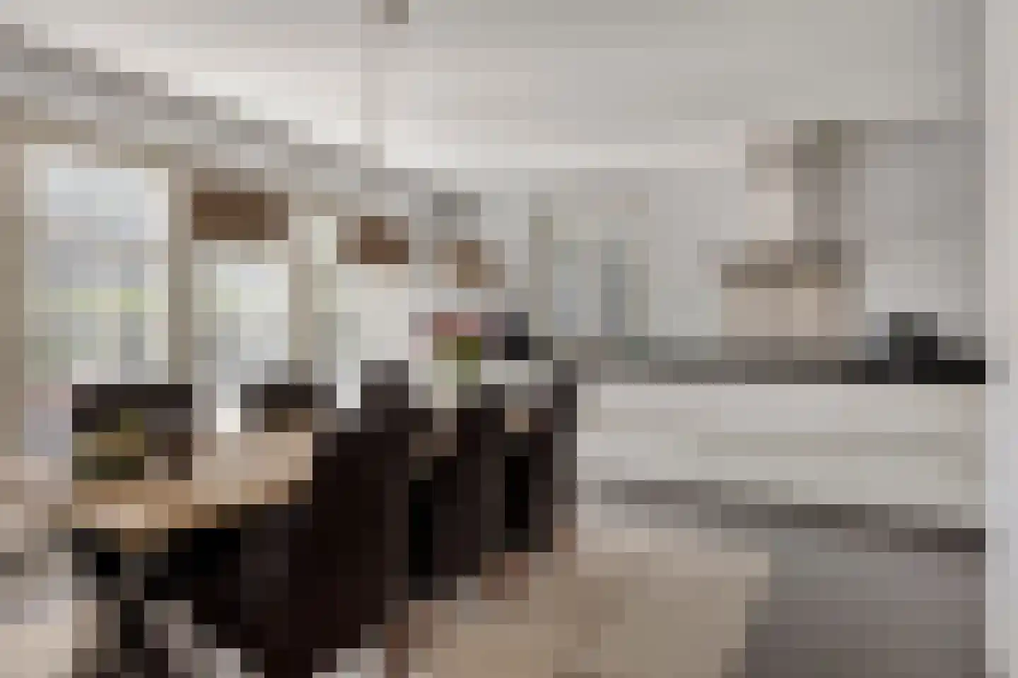 Zandstraat 2 Berlicum thumbnail 15