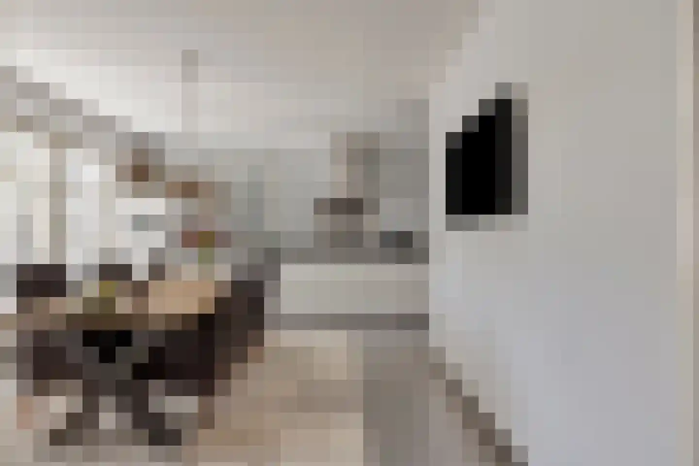 Zandstraat 2 Berlicum thumbnail 16