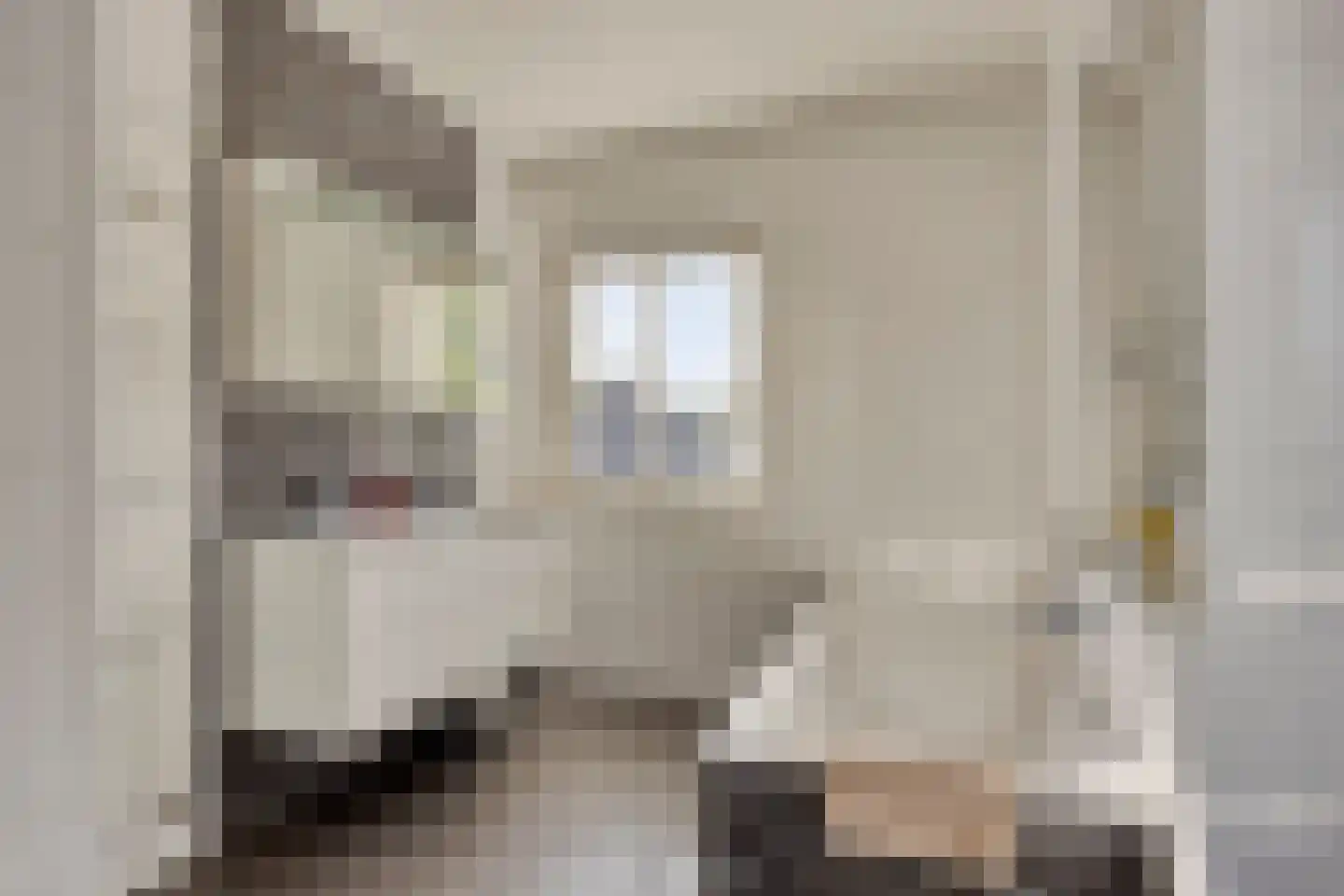 Zandstraat 2 Berlicum thumbnail 4