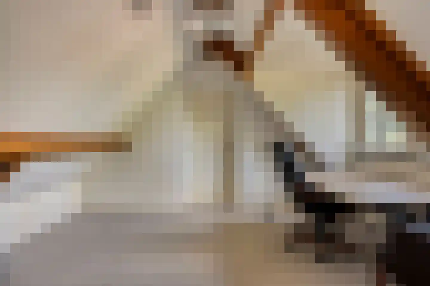 Zandstraat 2 Berlicum thumbnail 41