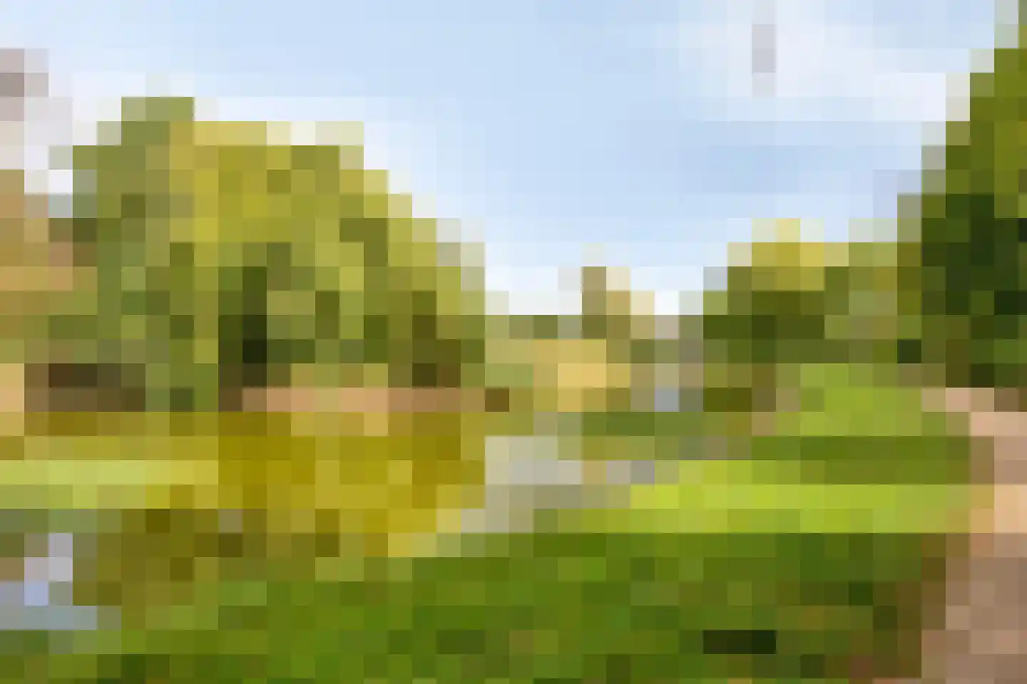 Zandstraat 2 Berlicum thumbnail 55