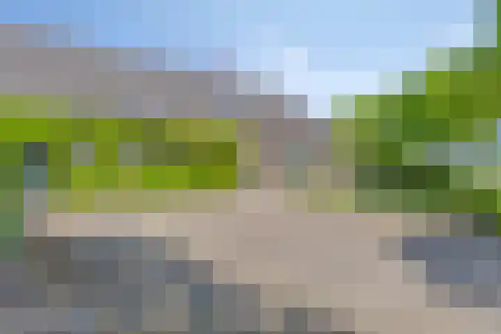 Zandstraat 45 Berlicum thumbnail 10