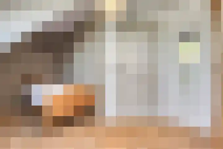 Zandstraat 45 Berlicum thumbnail 32