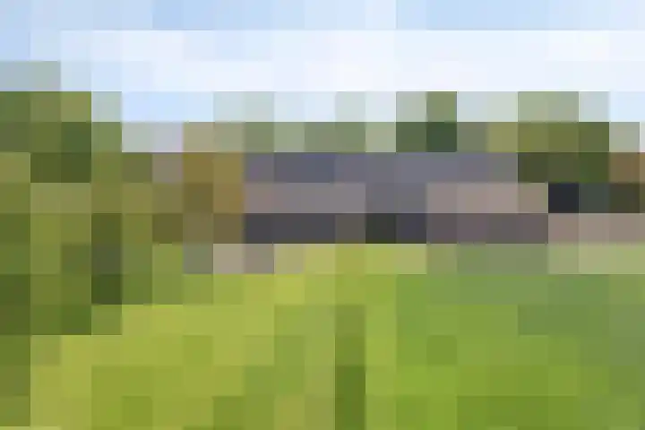 Zandstraat 45 Berlicum thumbnail 43