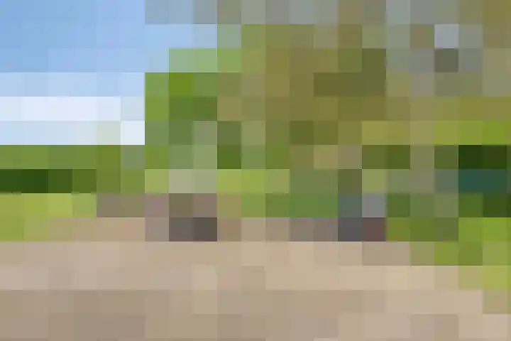Zandstraat 45 Berlicum thumbnail 44