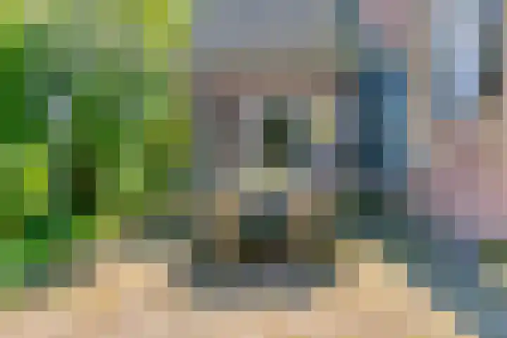 Zandstraat 45 Berlicum thumbnail 45
