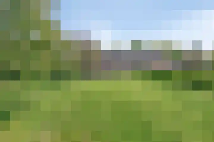 Zandstraat 45 Berlicum thumbnail 46
