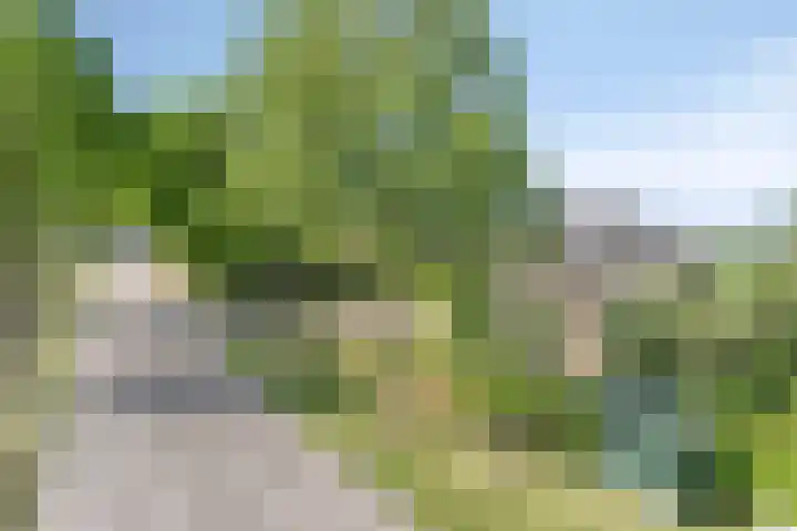 Zandstraat 45 Berlicum thumbnail 7
